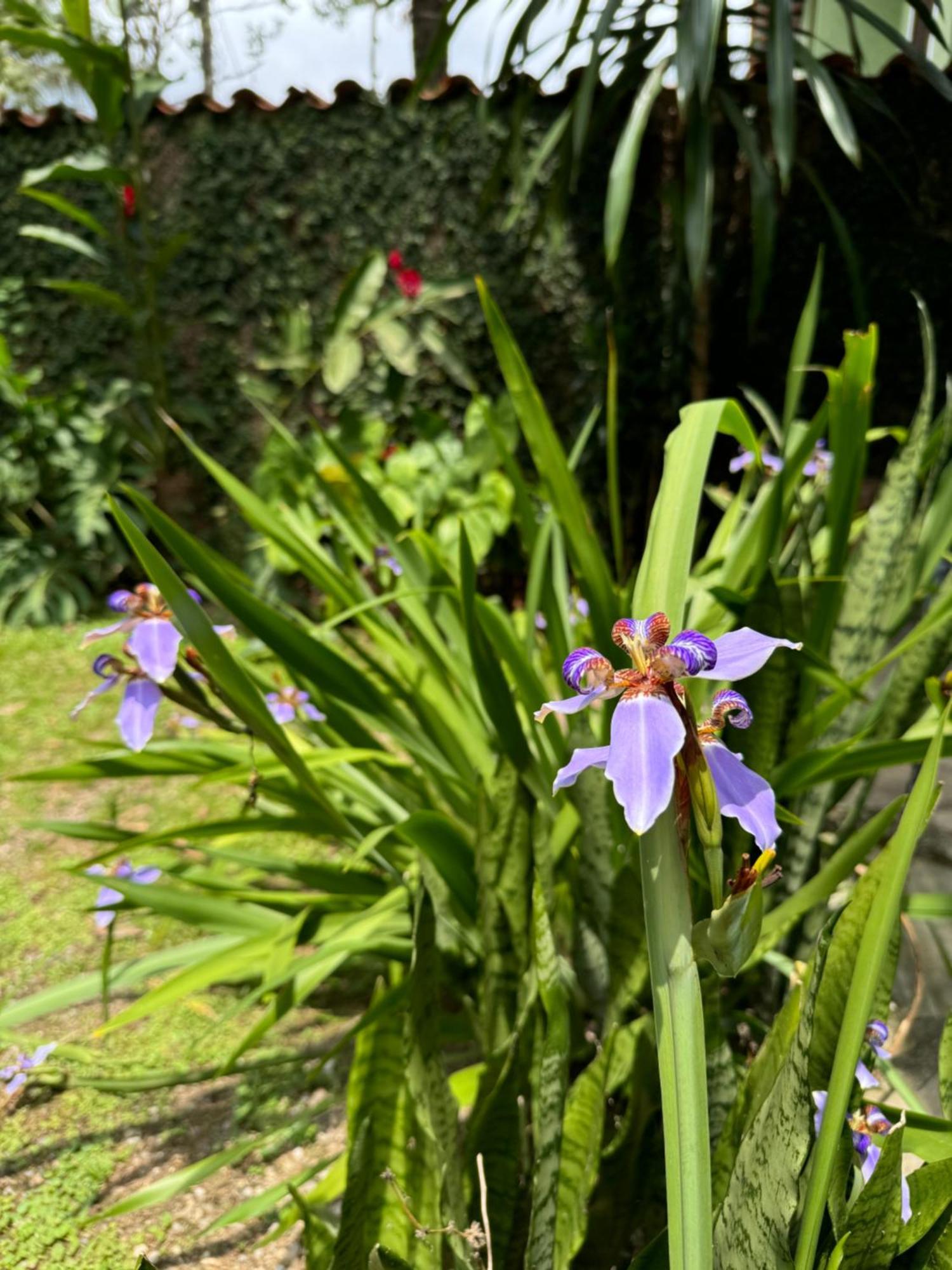 Pouso Sabia Suites Parati Esterno foto